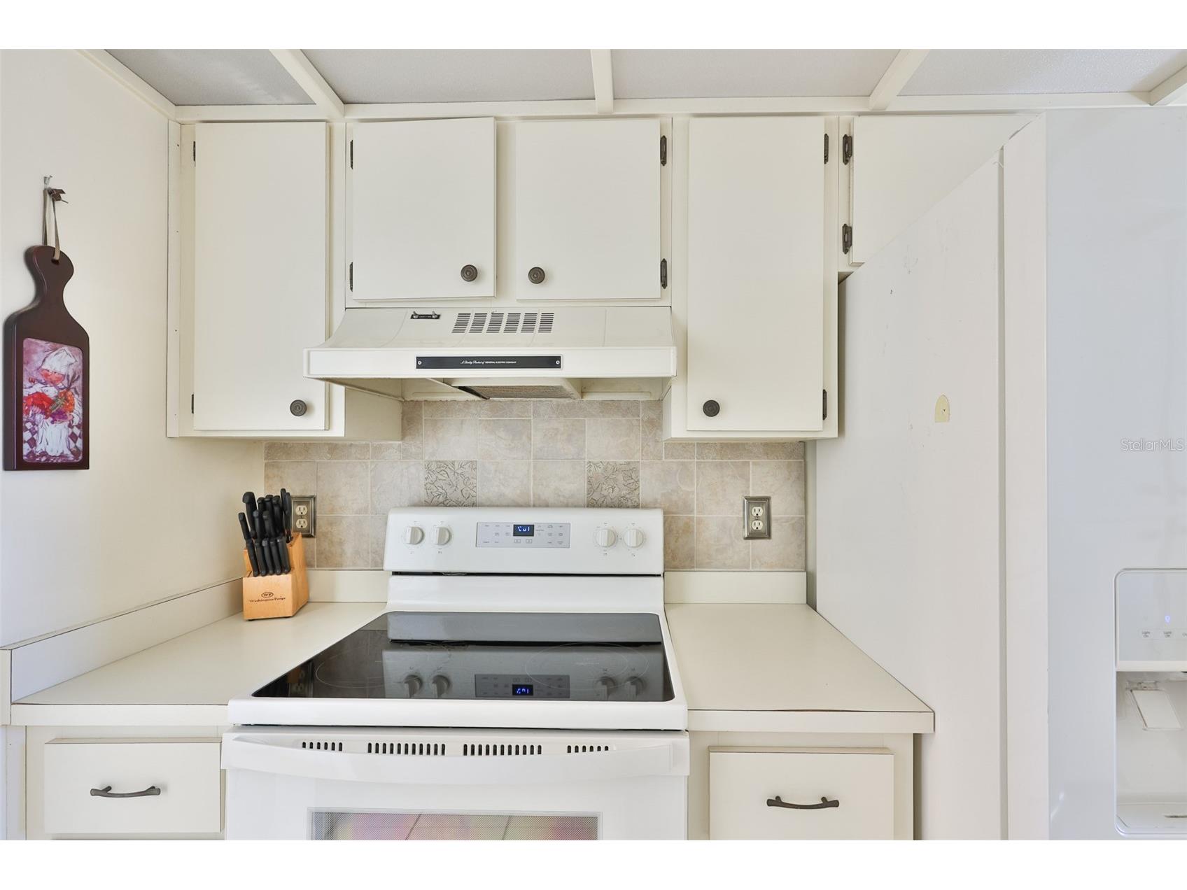 8703 Bardmoor Boulevard #303 Seminole FL 33777 R4911318 image6