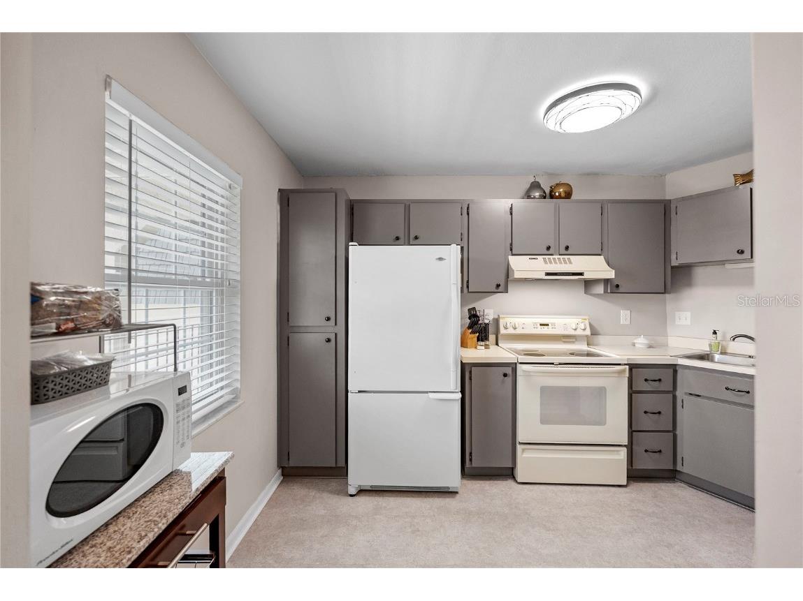 8703 Bardmoor Boulevard #305 Seminole FL 33777 TB8382416 image4