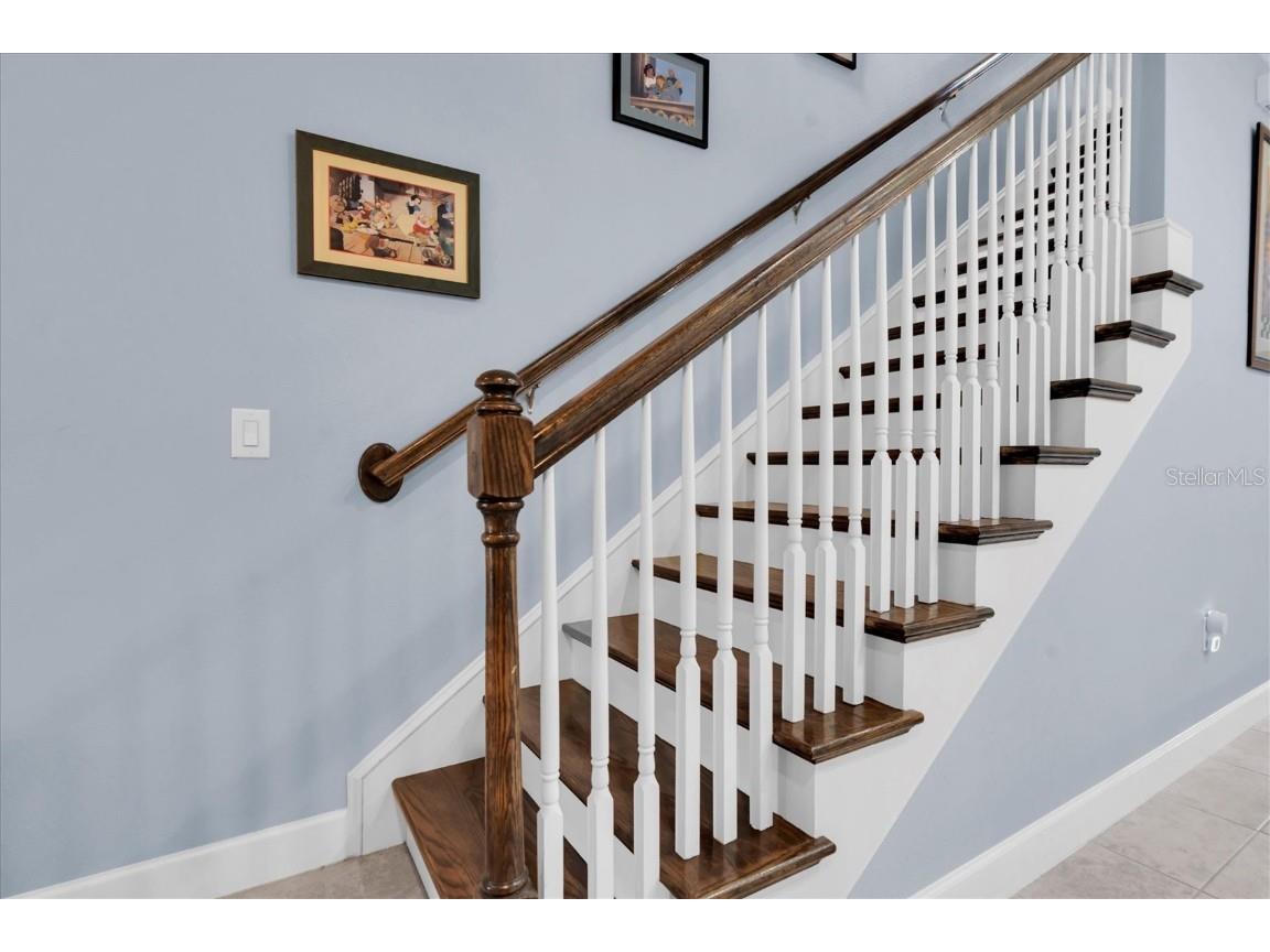 8703 Terracina Lake Drive Tampa FL 33625 TB8411650 image21