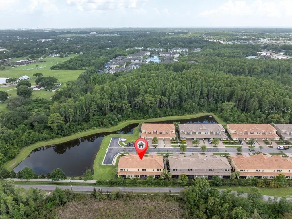 8703 Terracina Lake Drive Tampa FL 33625 TB8411650 image38