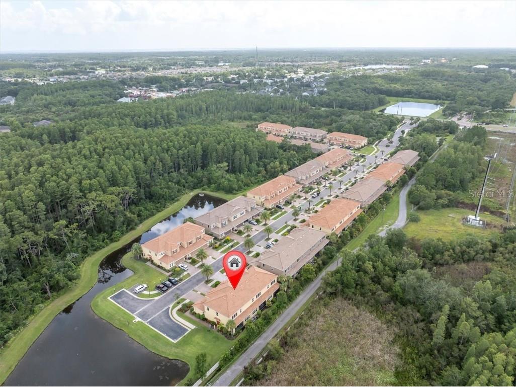 8703 Terracina Lake Drive Tampa FL 33625 TB8411650 image41