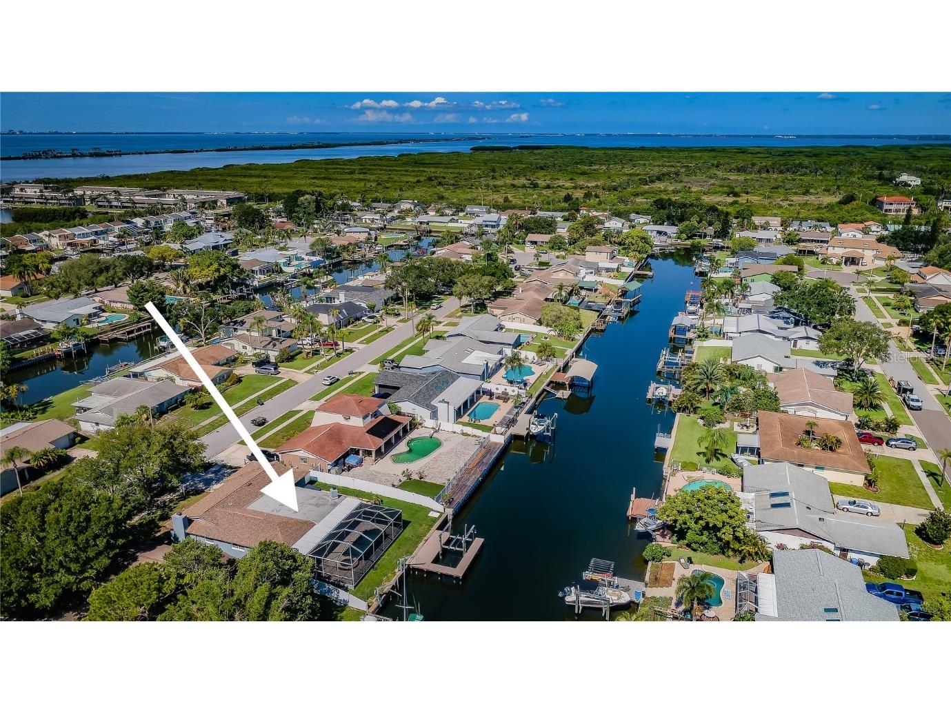 8705 Cobblestone Drive Tampa FL 33615 - SALTWATER CANAL TO TAMPA BAY T3460023 image1