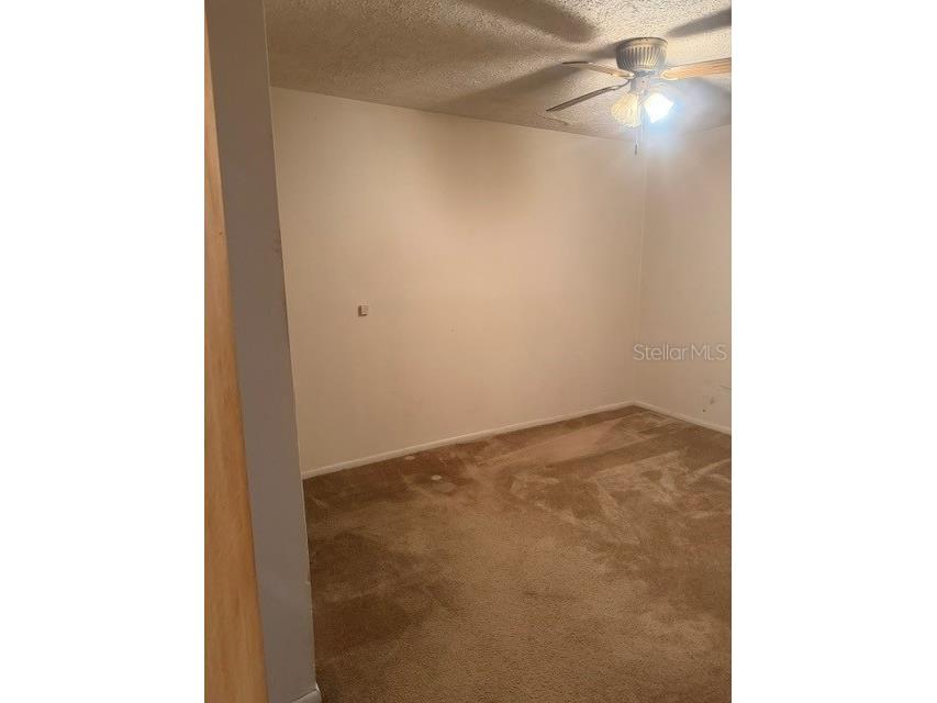 8705 N Wick Place Tampa FL 33604 TB8526041 image15