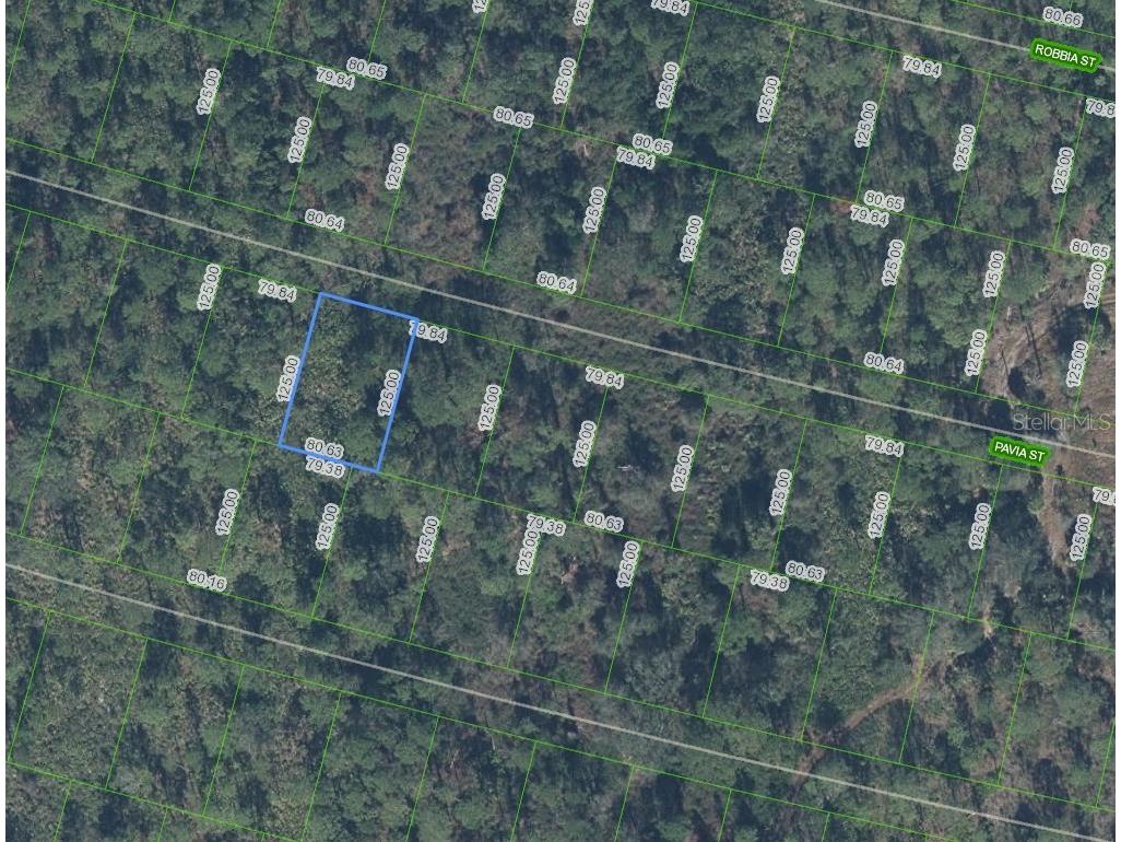8705 Pavia Street Sebring FL 33872 P4938240 image1