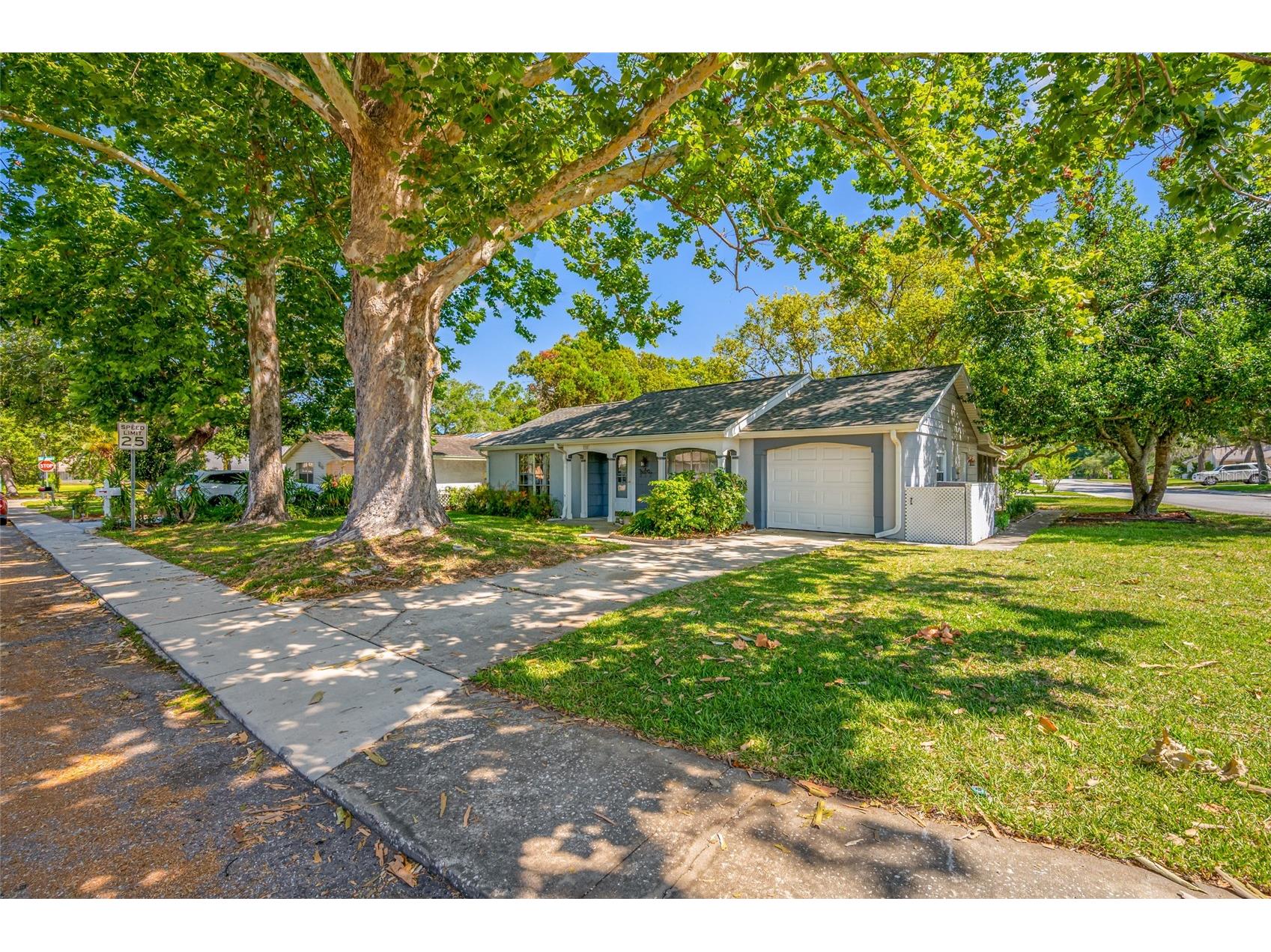 8705 Powderhorn Row Hudson FL 34667 TB8513574 image43