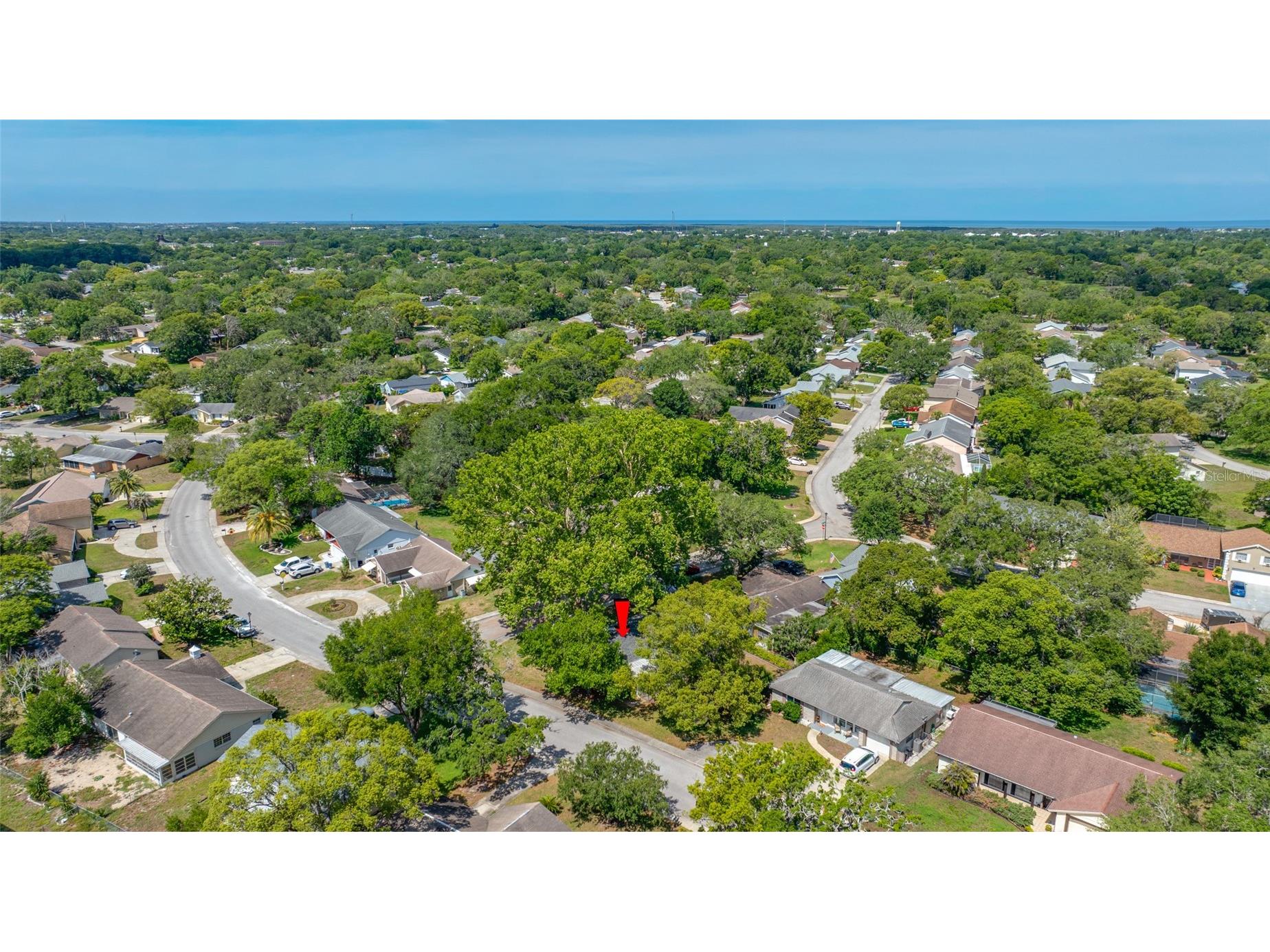 8705 Powderhorn Row Hudson FL 34667 TB8513574 image46