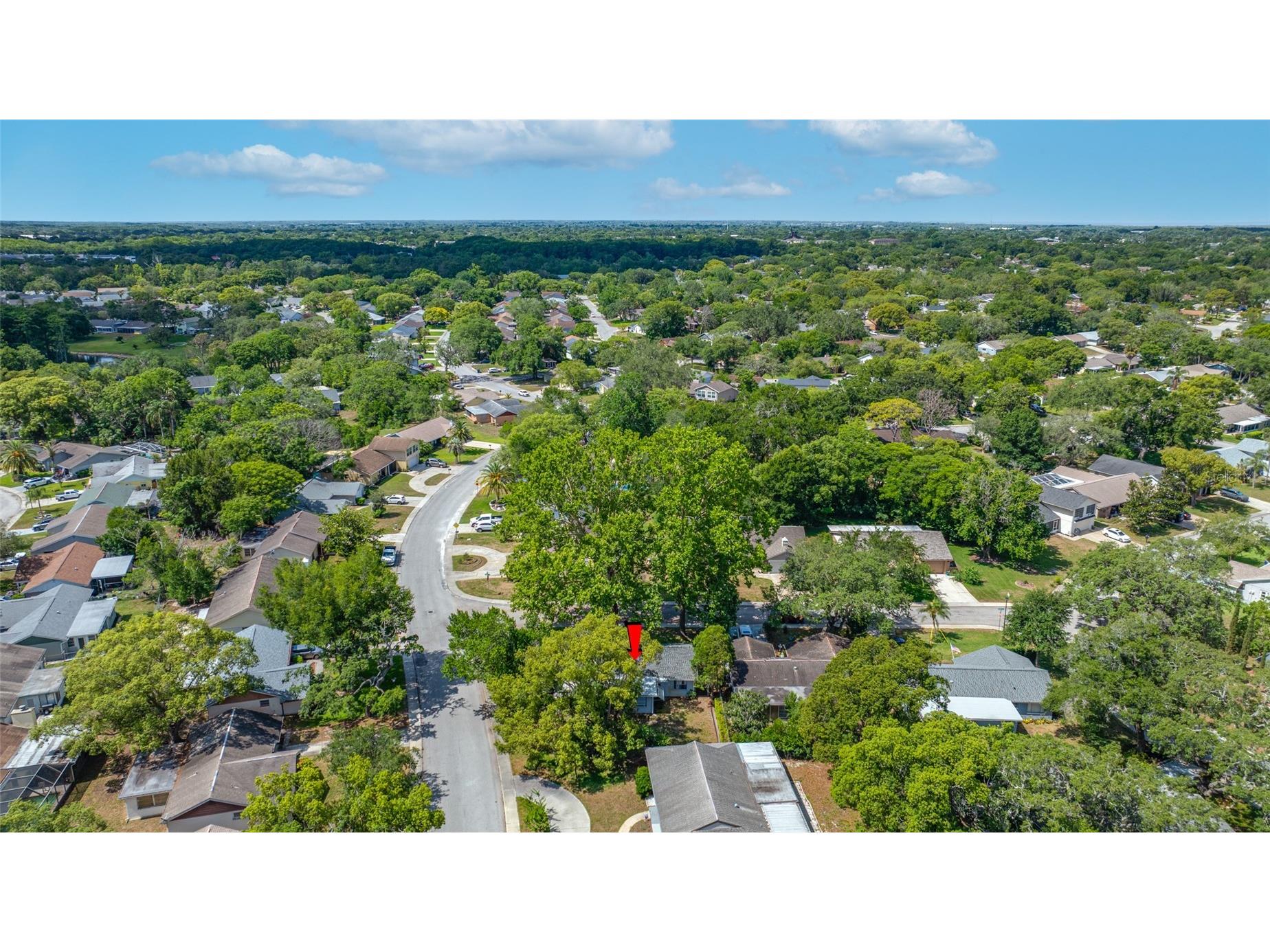 8705 Powderhorn Row Hudson FL 34667 TB8513574 image47