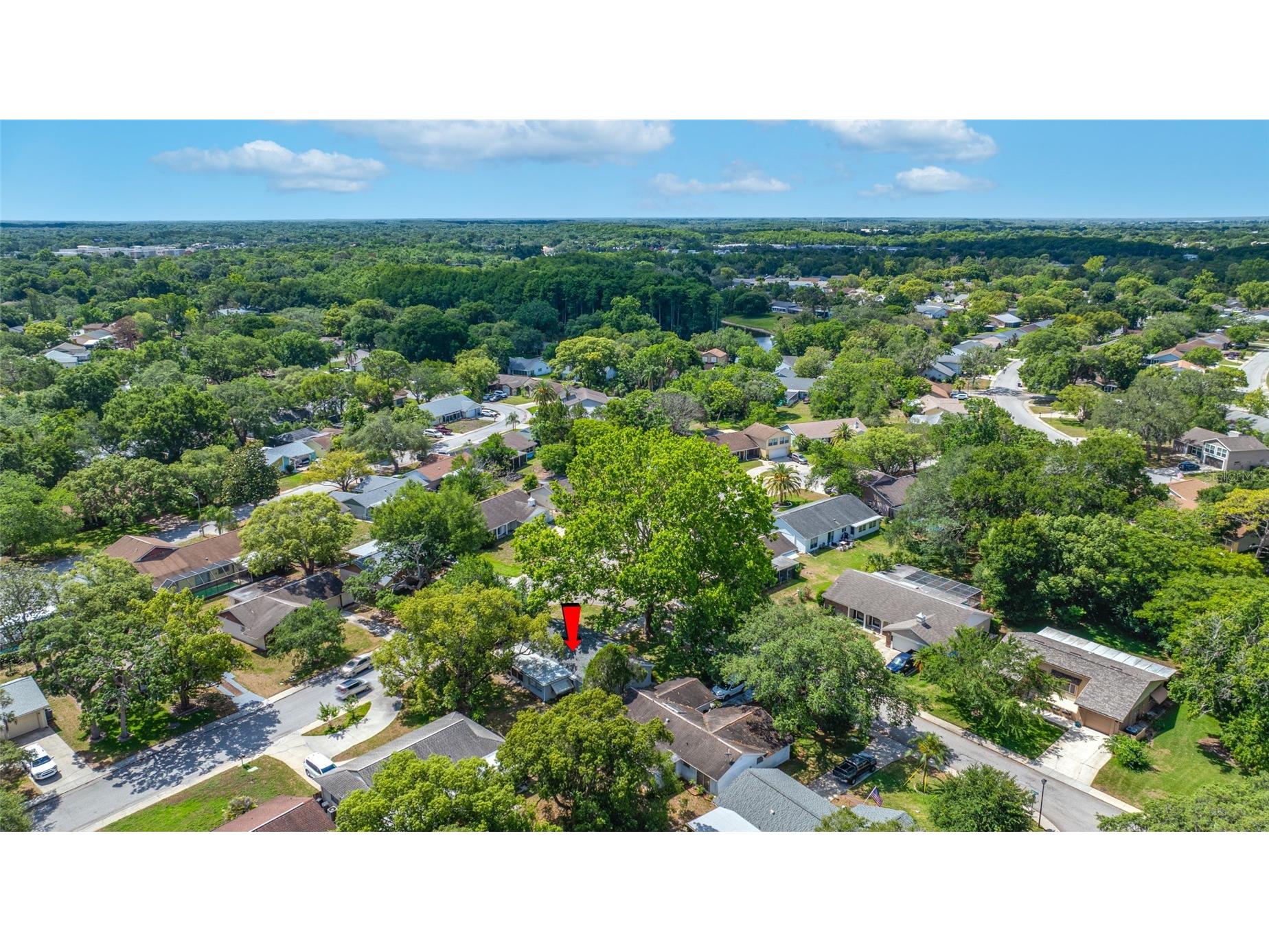 8705 Powderhorn Row Hudson FL 34667 TB8513574 image48