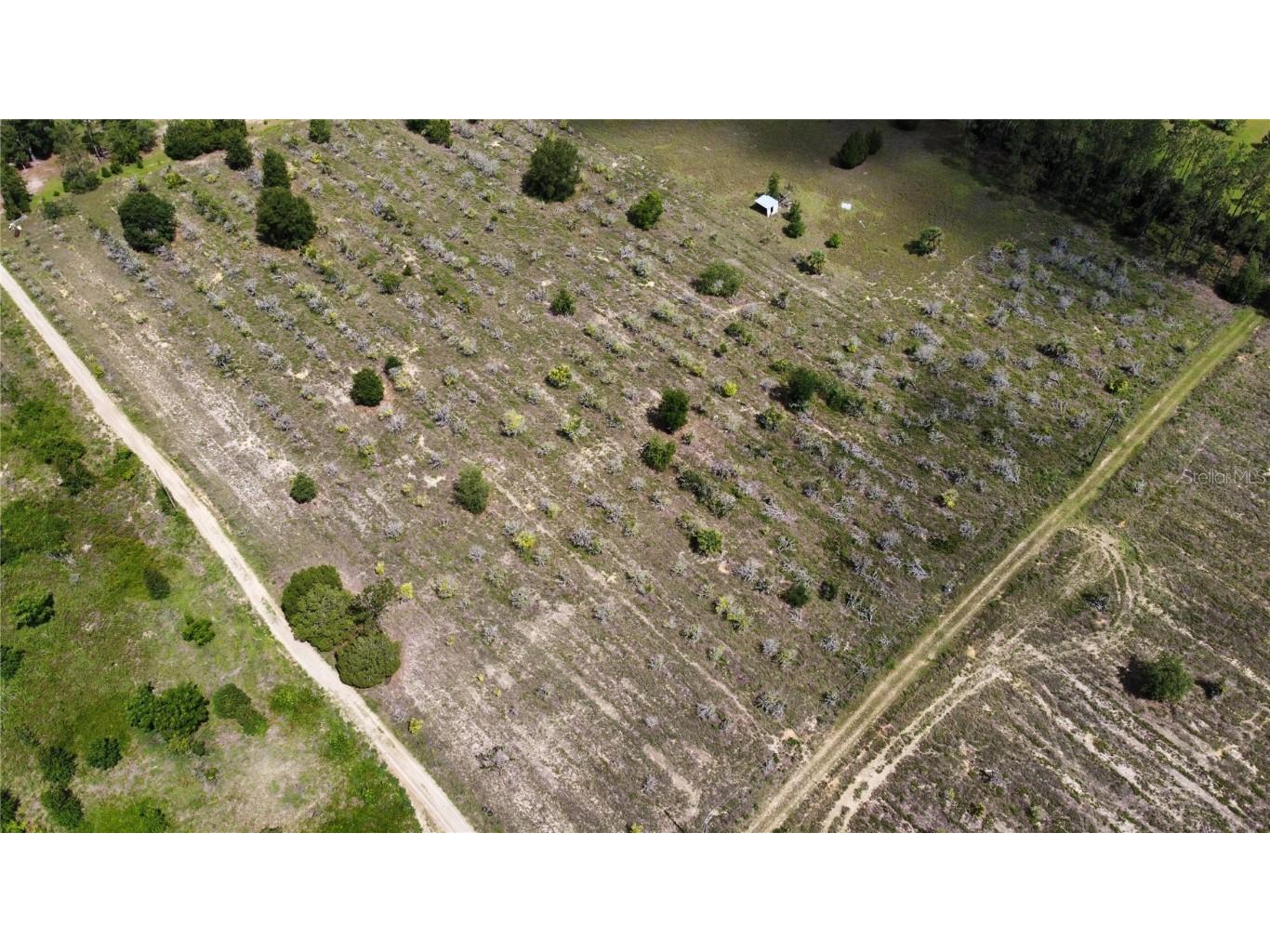 8705 Turkey Oak Lane Clermont FL 34714 O5995728 image1