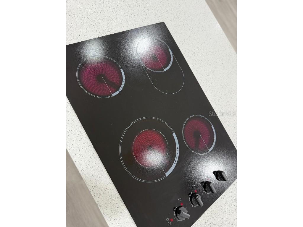 8706 Fish Lake Road Tampa FL 33619 TB8416183 image16