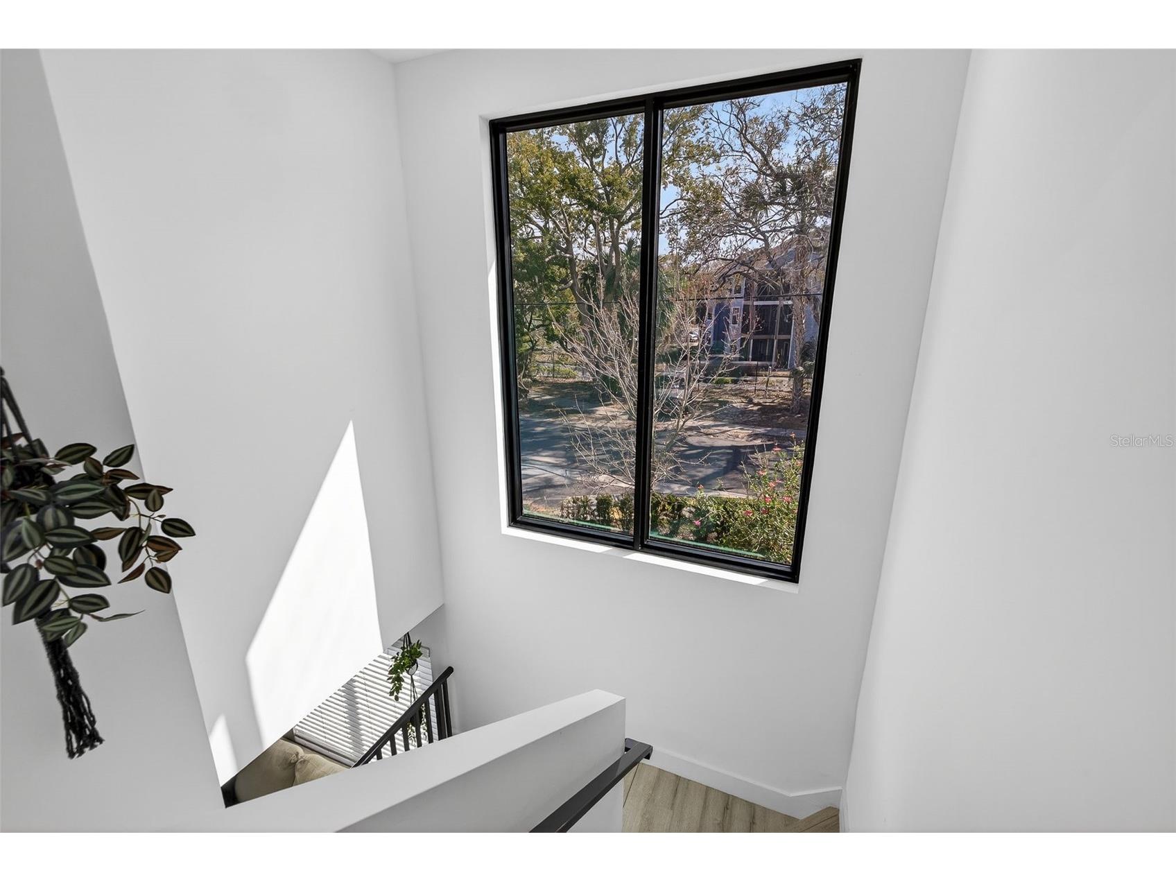 8706 Palm Ranches Place Tampa FL 33614 TB8482471 image17