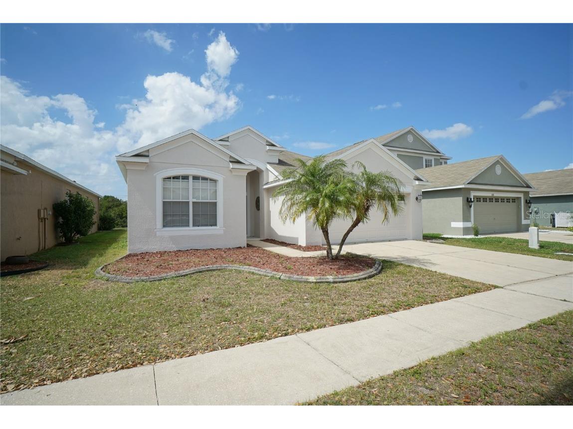 8706 Sandy Plains Drive Riverview FL 33578 T3358909 image1