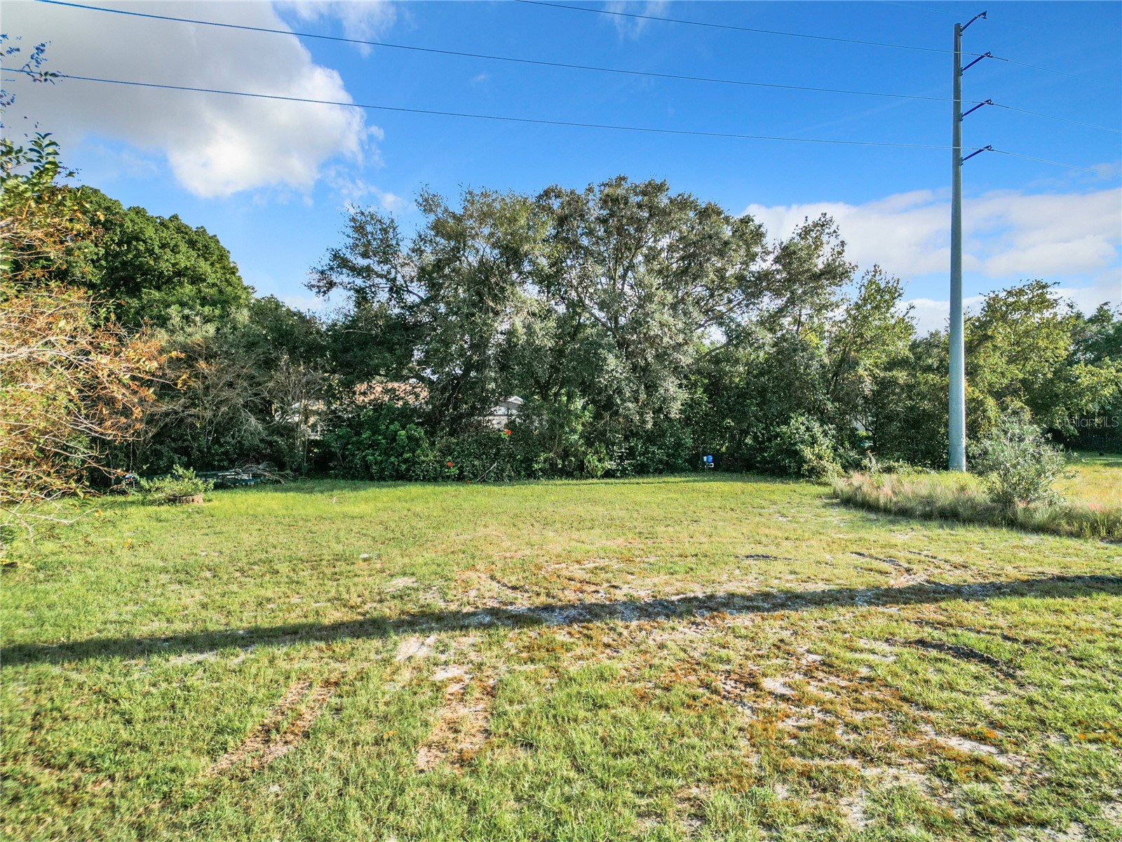 8707 Fernwicke Court Orlando FL 32819 O6396612 image49