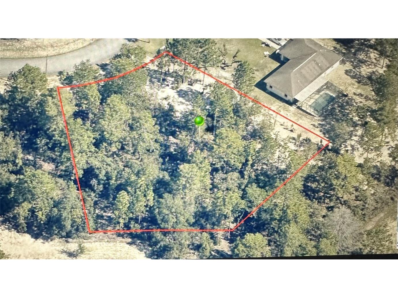 8707 N Hasting Drive Citrus Springs FL 34433 OM655665 image1