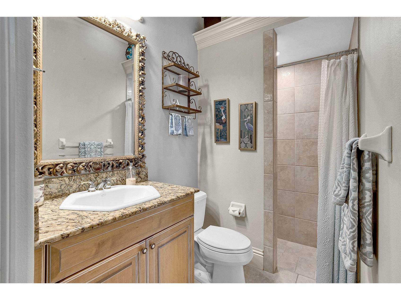 8707 Silverthorn Road Seminole FL 33777 TB8458414 image28