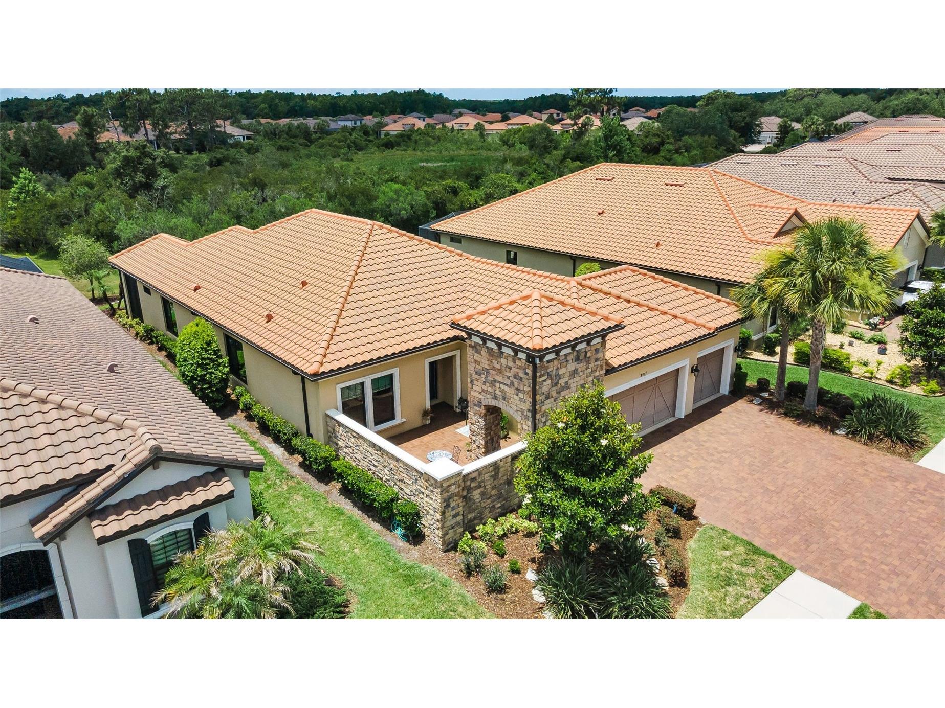 8707 Sorano Villa Drive Tampa FL 33647 TB8512295 image15