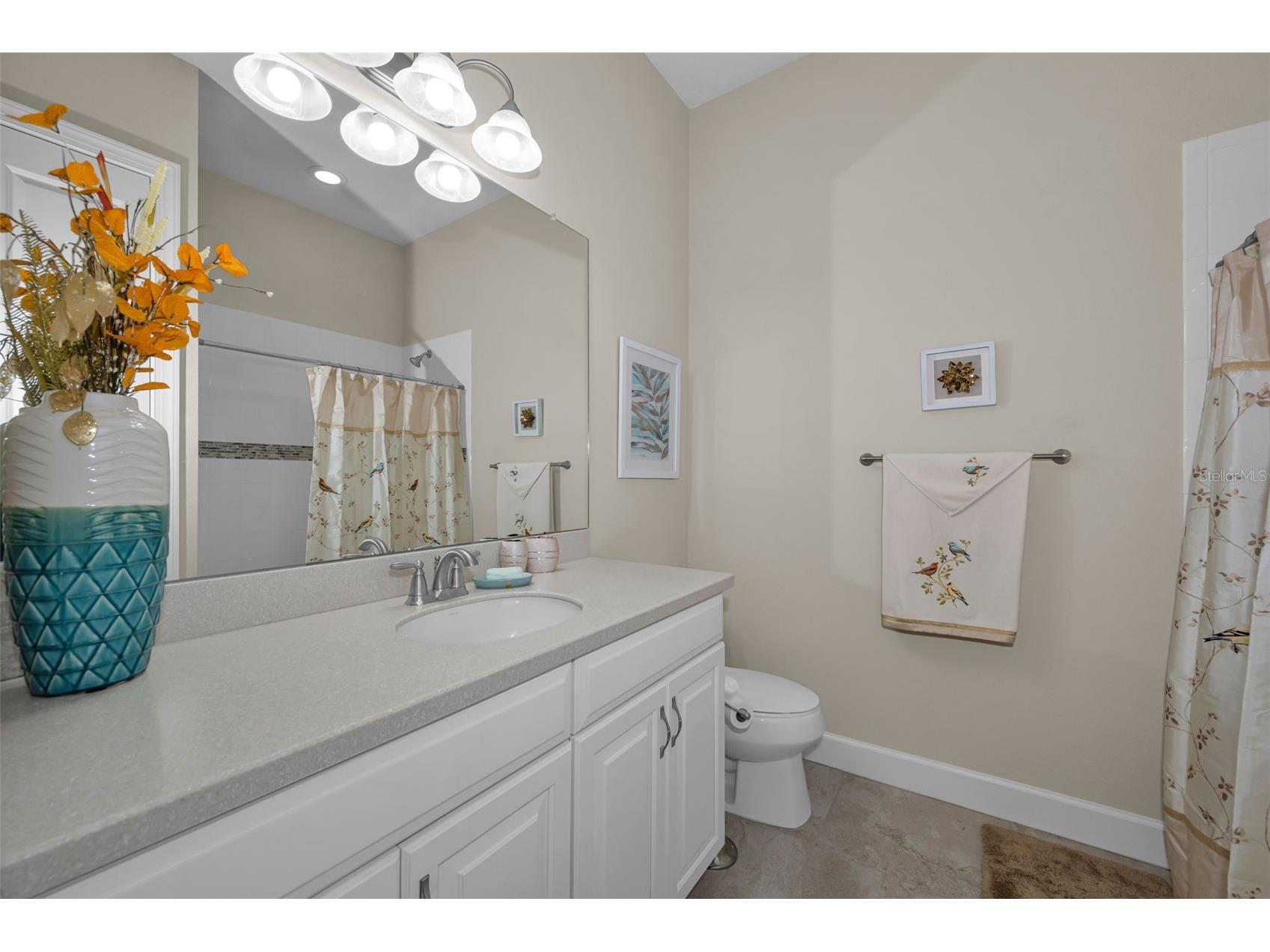 8707 Sorano Villa Drive Tampa FL 33647 TB8512295 image43