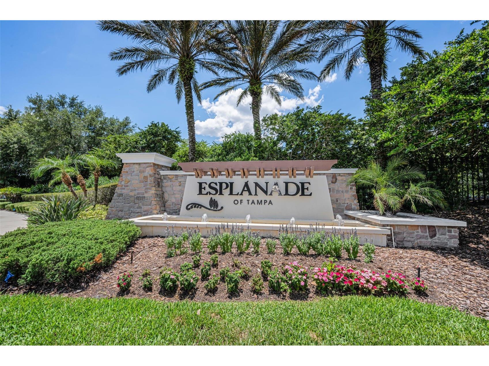 8707 Sorano Villa Drive Tampa FL 33647 TB8512295 image64