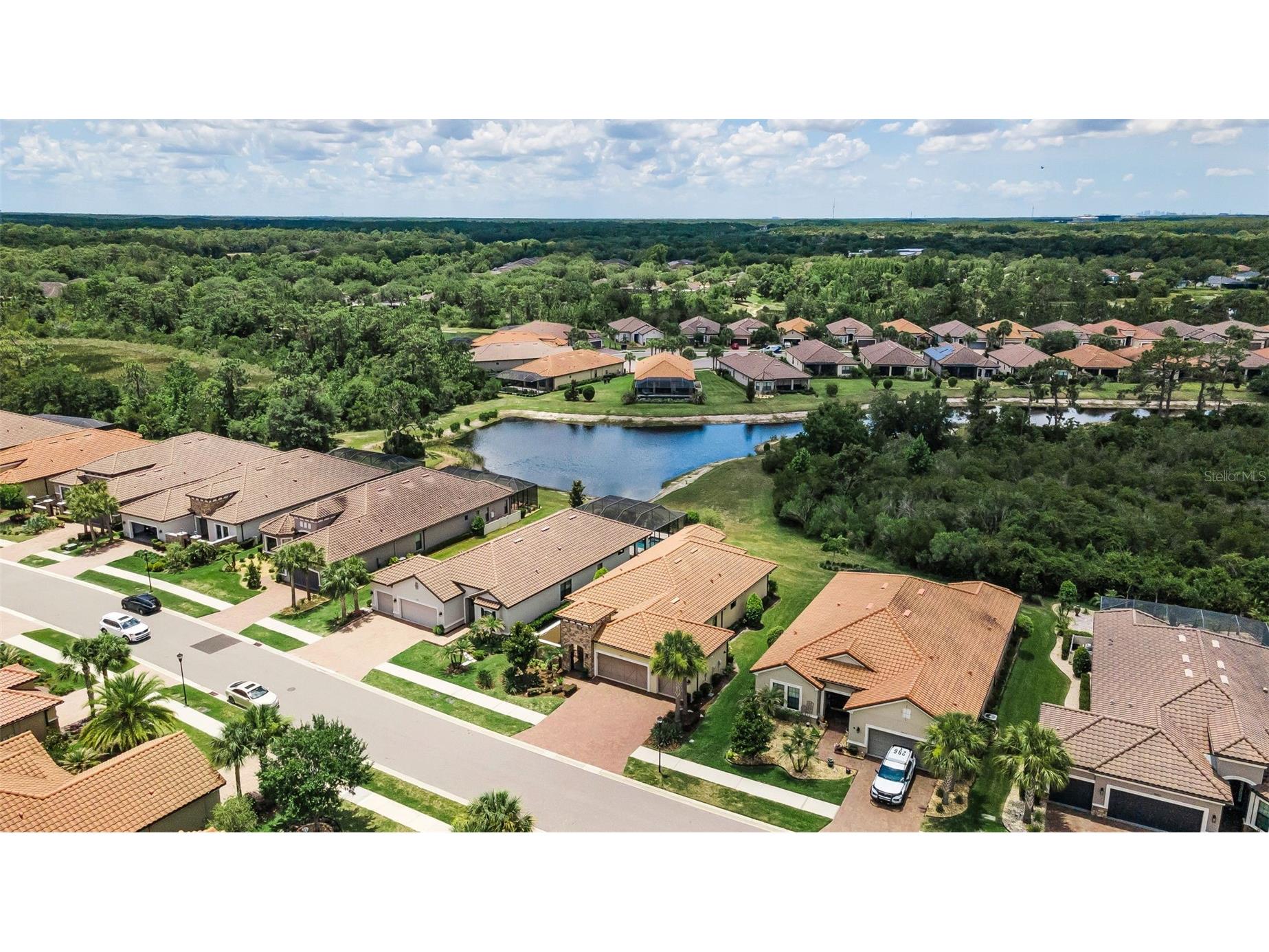 8707 Sorano Villa Drive Tampa FL 33647 TB8512295 image7