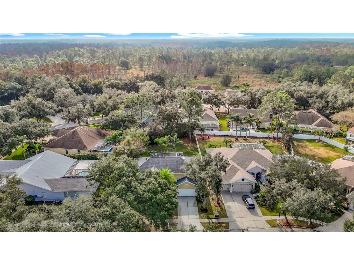 8708 Bay Laurel Court Tampa FL 33647 TB8451208 image2