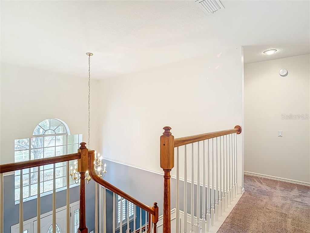 8708 Bay Laurel Court Tampa FL 33647 TB8451208 image45