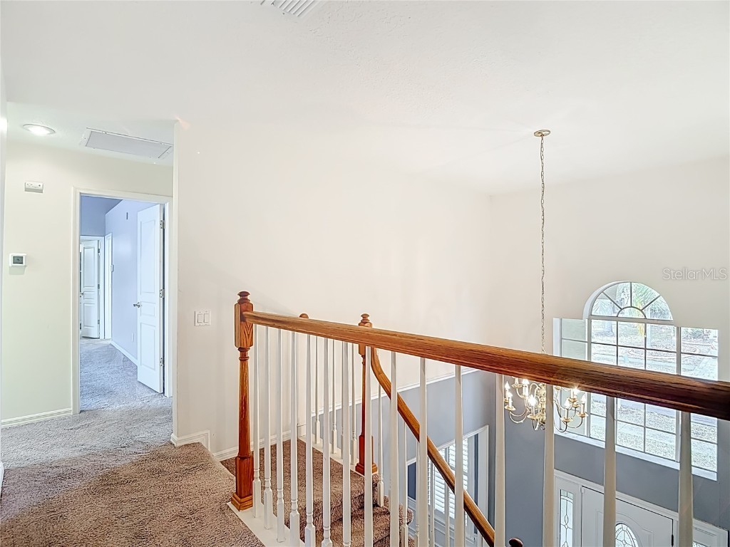 8708 Bay Laurel Court Tampa FL 33647 TB8451208 image46