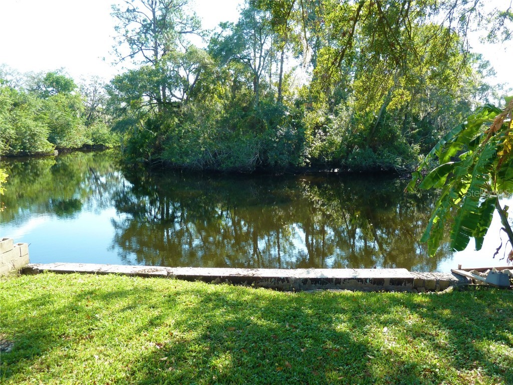 8708 Mayflower Road Tampa FL 33615 U8186747 image1