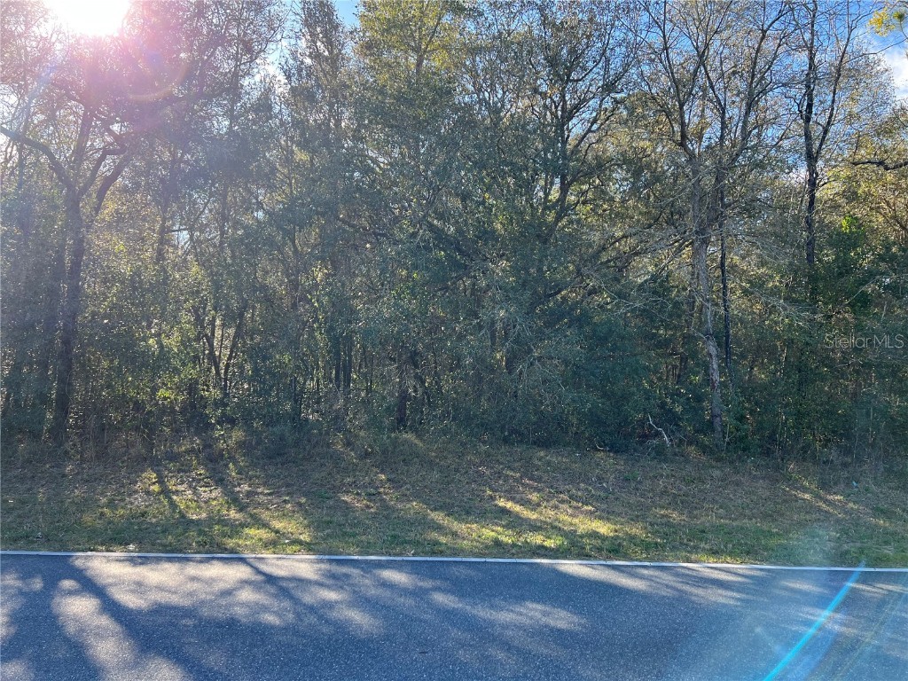 8708 N Santos Drive Citrus Springs FL 34434 O6175233 image1