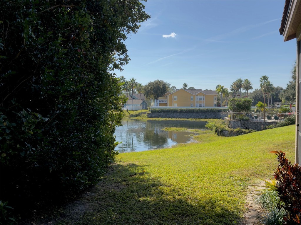 8708 Papaya Drive Kissimmee FL 34747 O6361713 image37