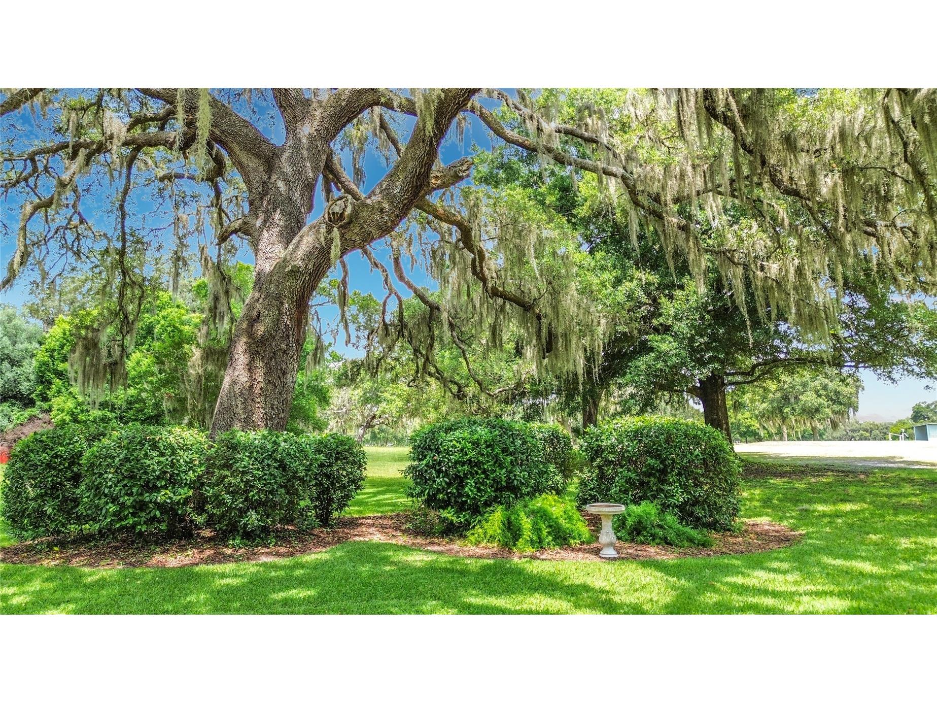 8709 E Sandpiper Drive Inverness FL 34450 OM727027 image3