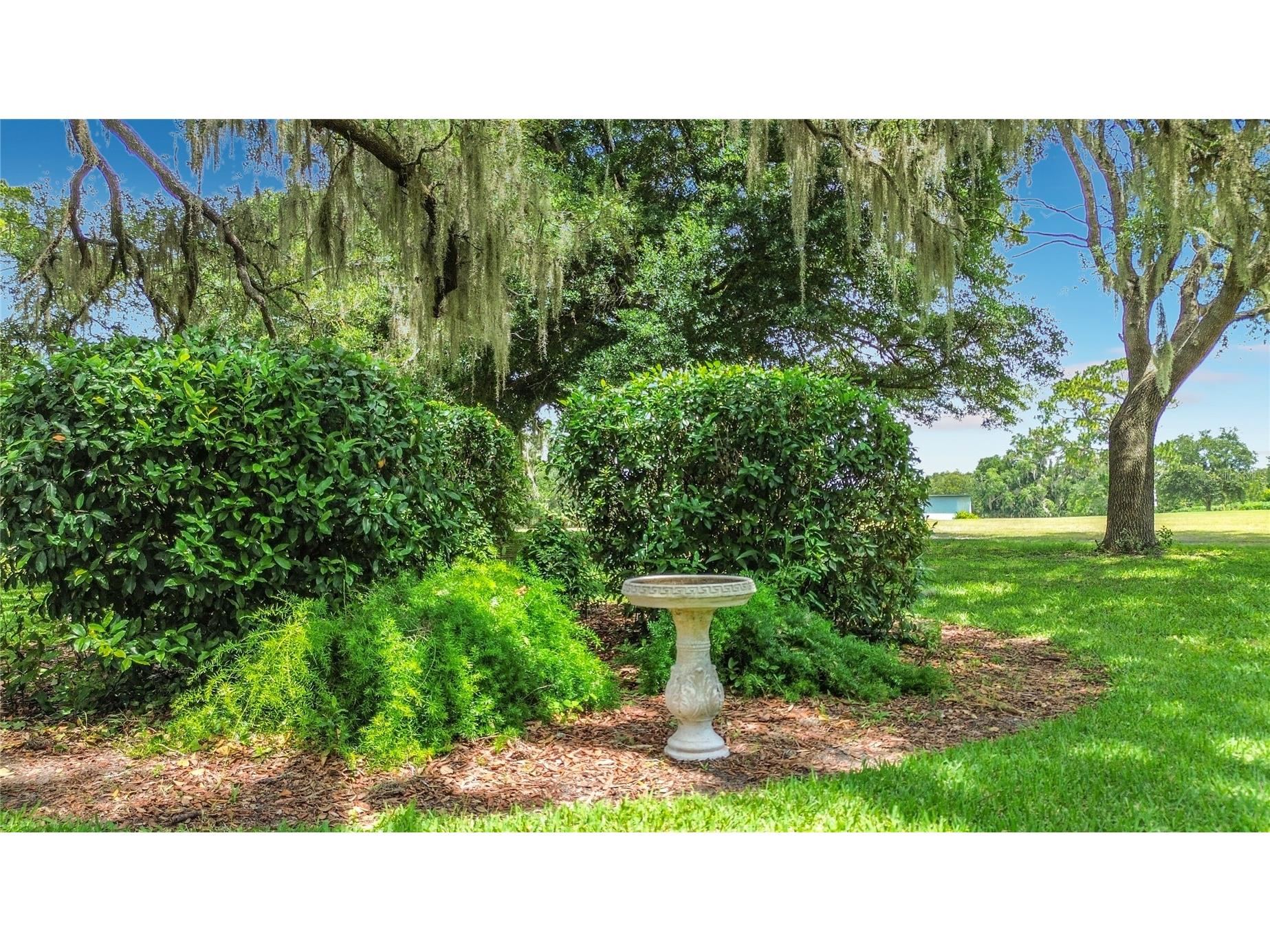 8709 E Sandpiper Drive Inverness FL 34450 OM727027 image39