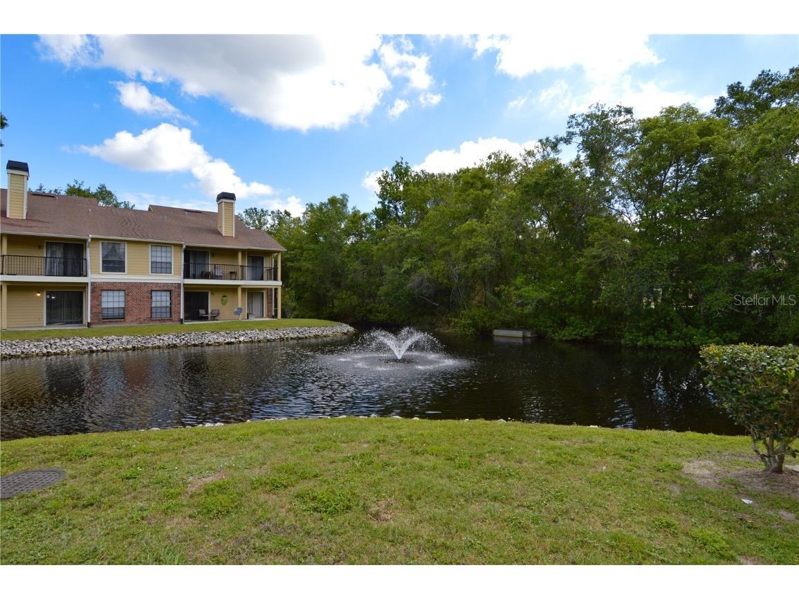 8709 Fancy Finch Drive #102 Tampa FL 33614 U8210884 image1