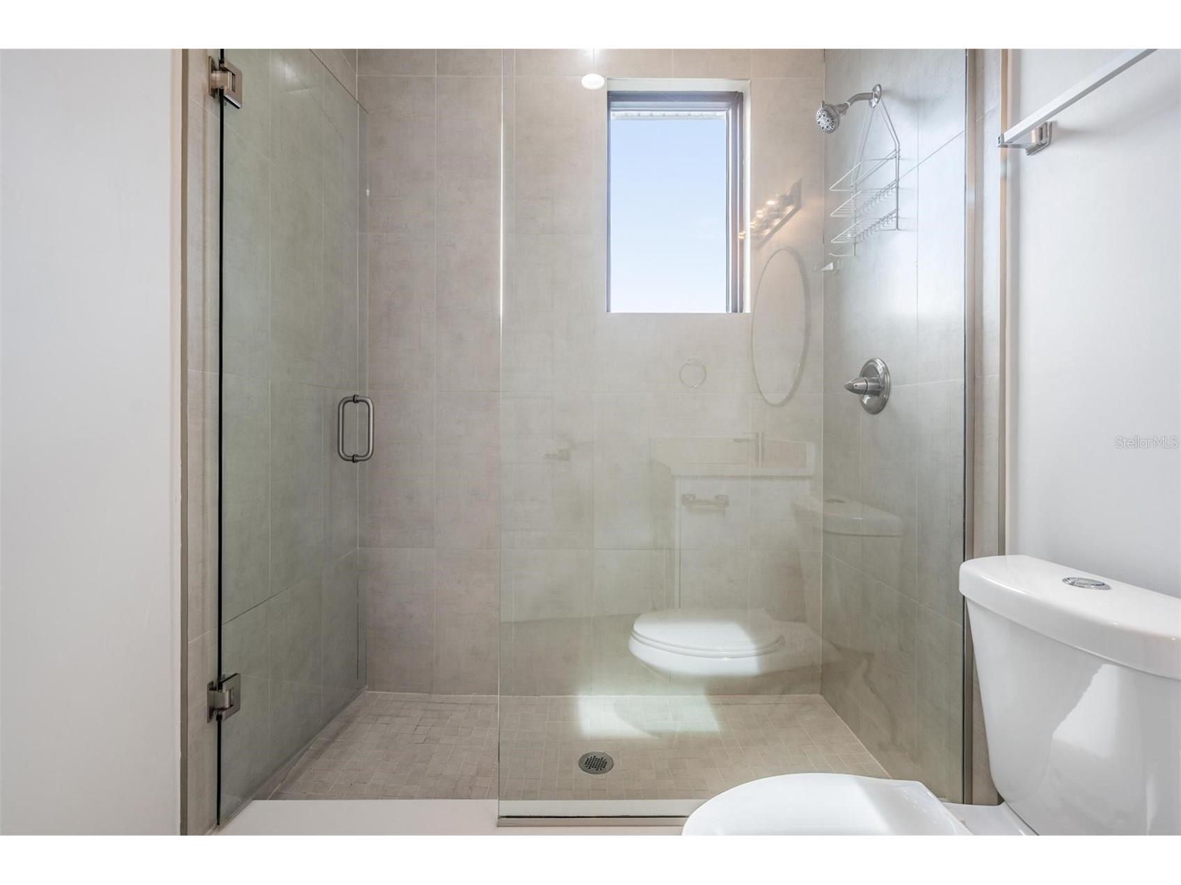 8709 Palm Ranches Place Tampa FL 33614 TB8503792 image8