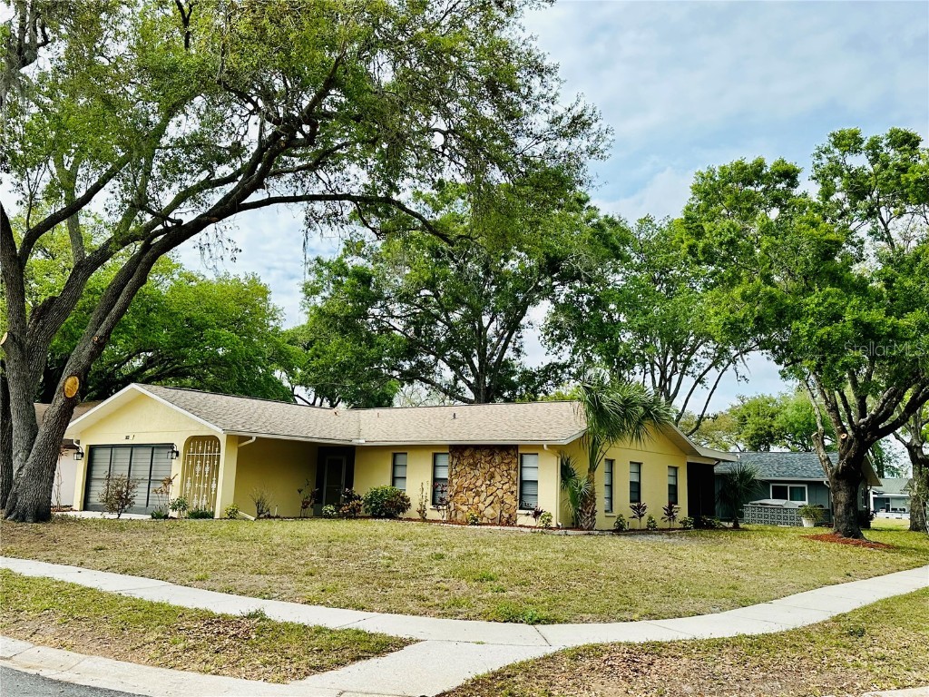 8709 Wind Mill Drive New Port Richey FL 34655 W7853229 image1