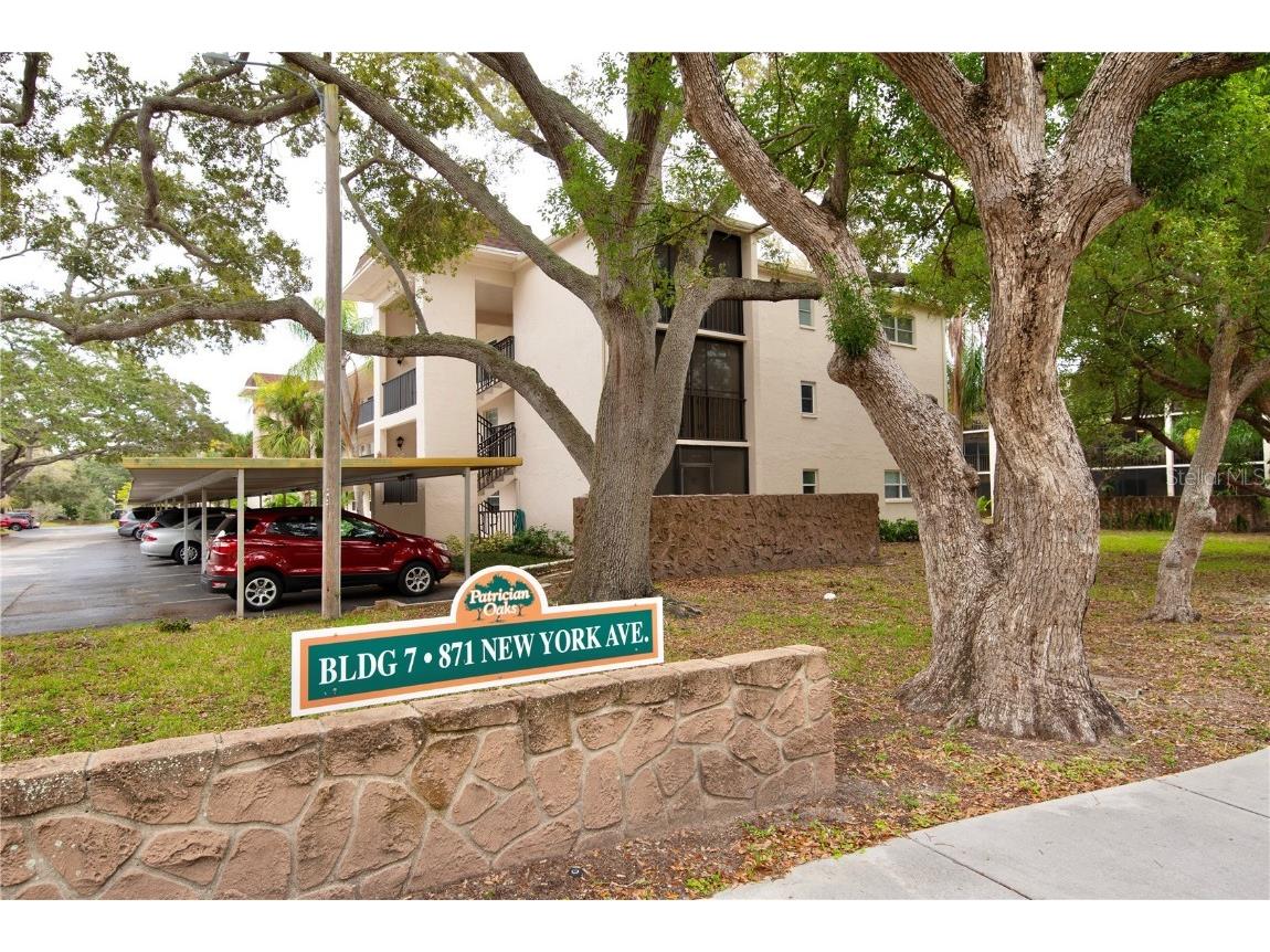 871 New York Avenue #101 Dunedin FL 34698 U8226067 image1