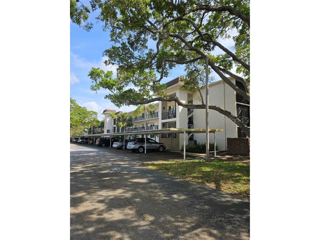871 New York Avenue #106 Dunedin FL 34698 W7862704 image1