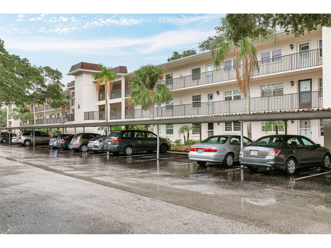 871 New York Avenue #204 Dunedin FL 34698 U8220965 image1