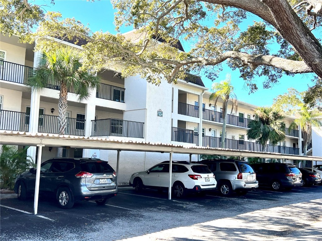 871 New York Avenue #206 Dunedin FL 34698 T3503075 image1