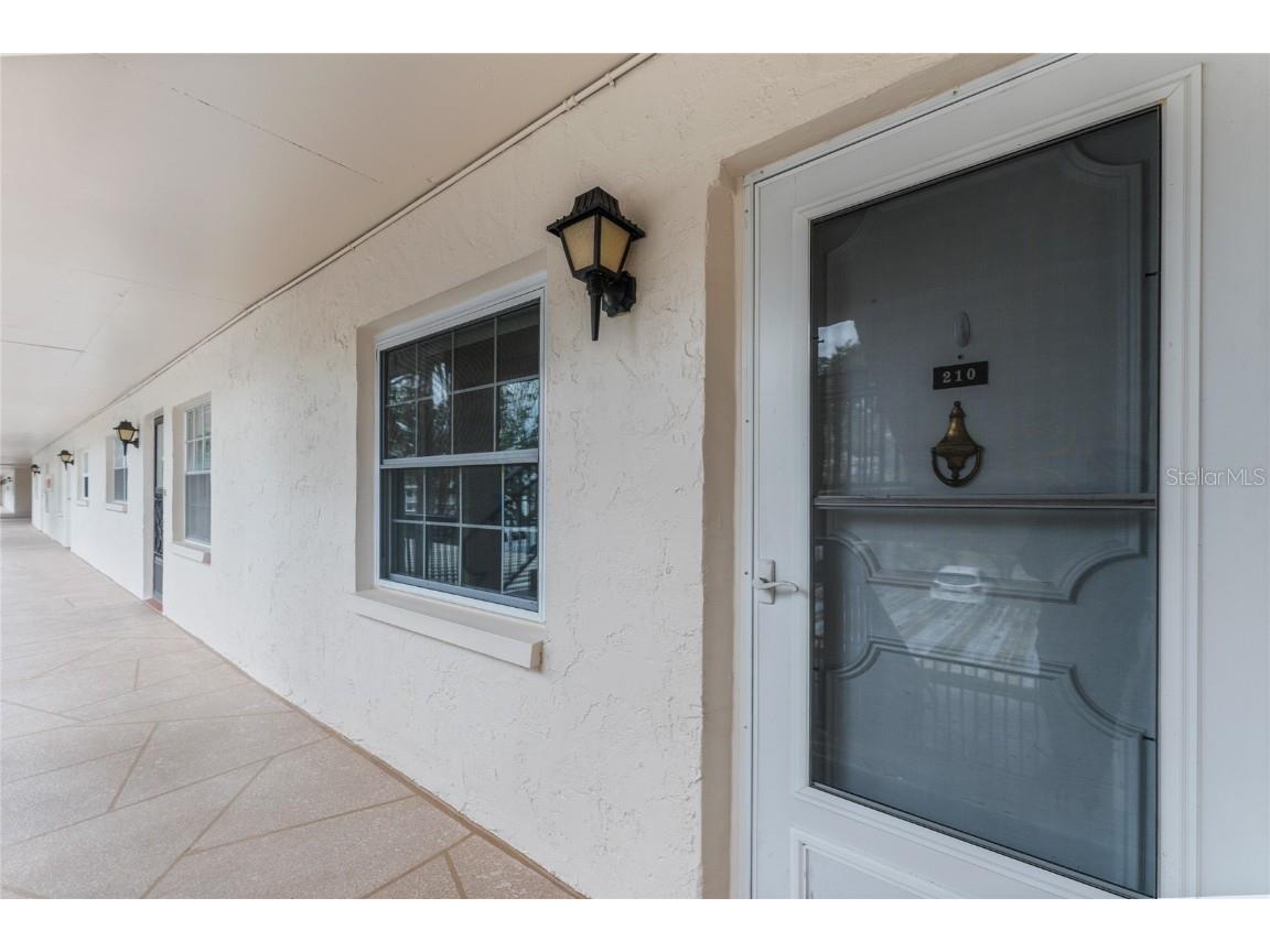 871 New York Avenue #210 Dunedin FL 34698 T3496174 image1