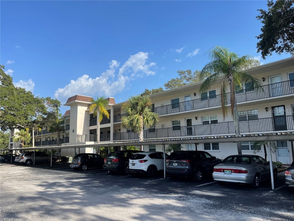 871 New York Avenue #305 Dunedin FL 34698 U8208473 image1