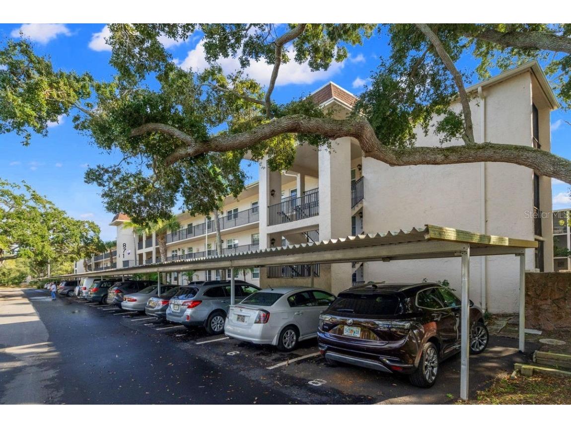 871 New York Avenue #307 Dunedin FL 34698 TB8458337 image1