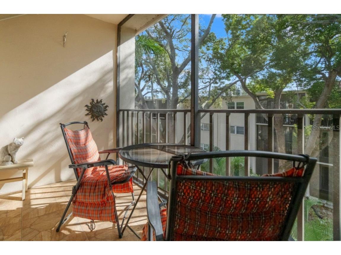 871 New York Avenue #307 Dunedin FL 34698 TB8458337 image10