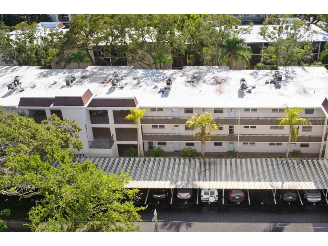 871 New York Avenue #307 Dunedin FL 34698 TB8458337 image2