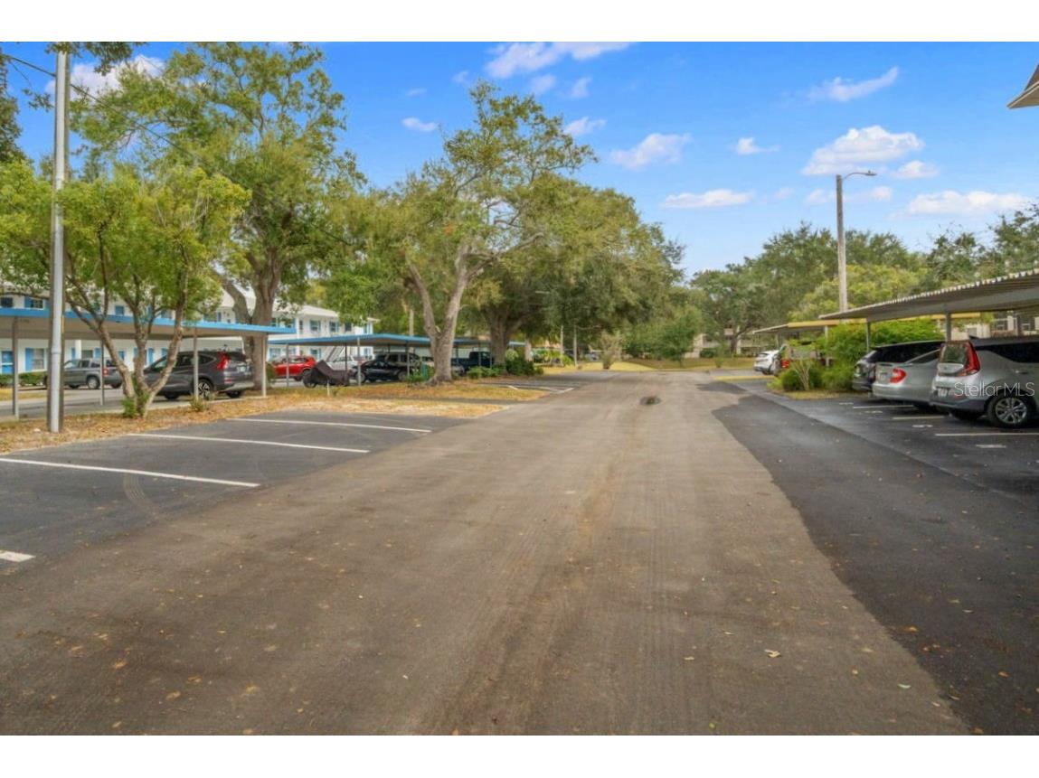 871 New York Avenue #307 Dunedin FL 34698 TB8458337 image24