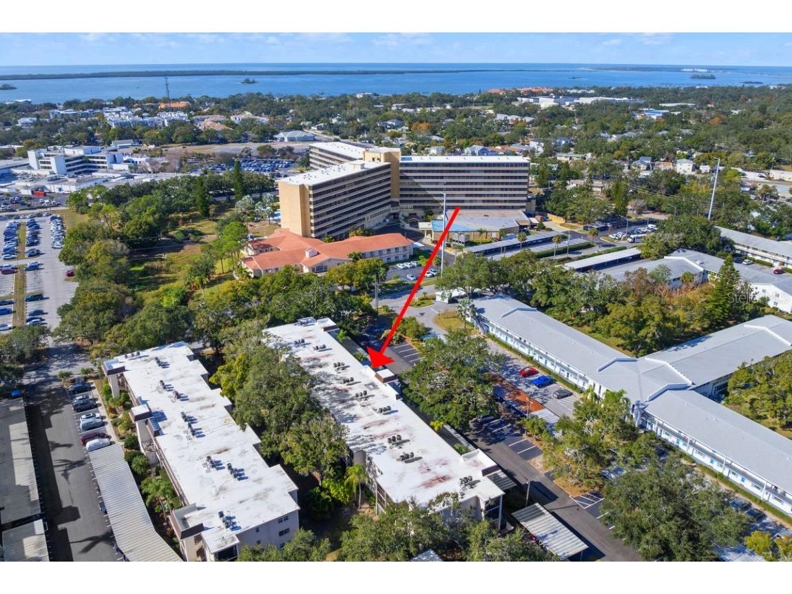 871 New York Avenue #307 Dunedin FL 34698 TB8458337 image25