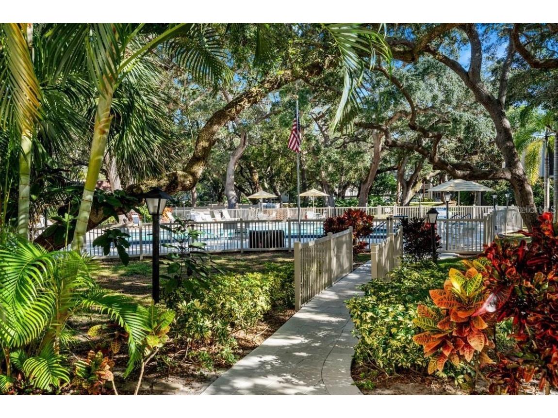 871 New York Avenue #307 Dunedin FL 34698 TB8458337 image27