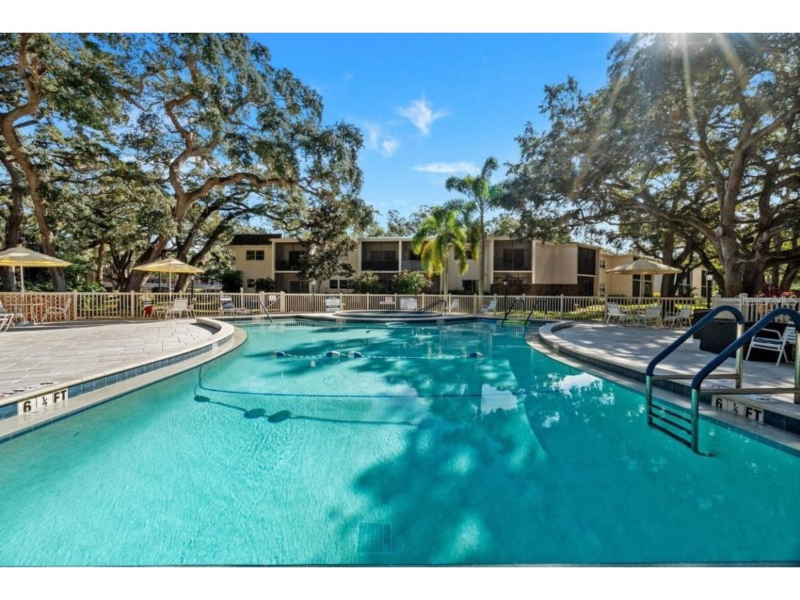 871 New York Avenue #307 Dunedin FL 34698 TB8458337 image28