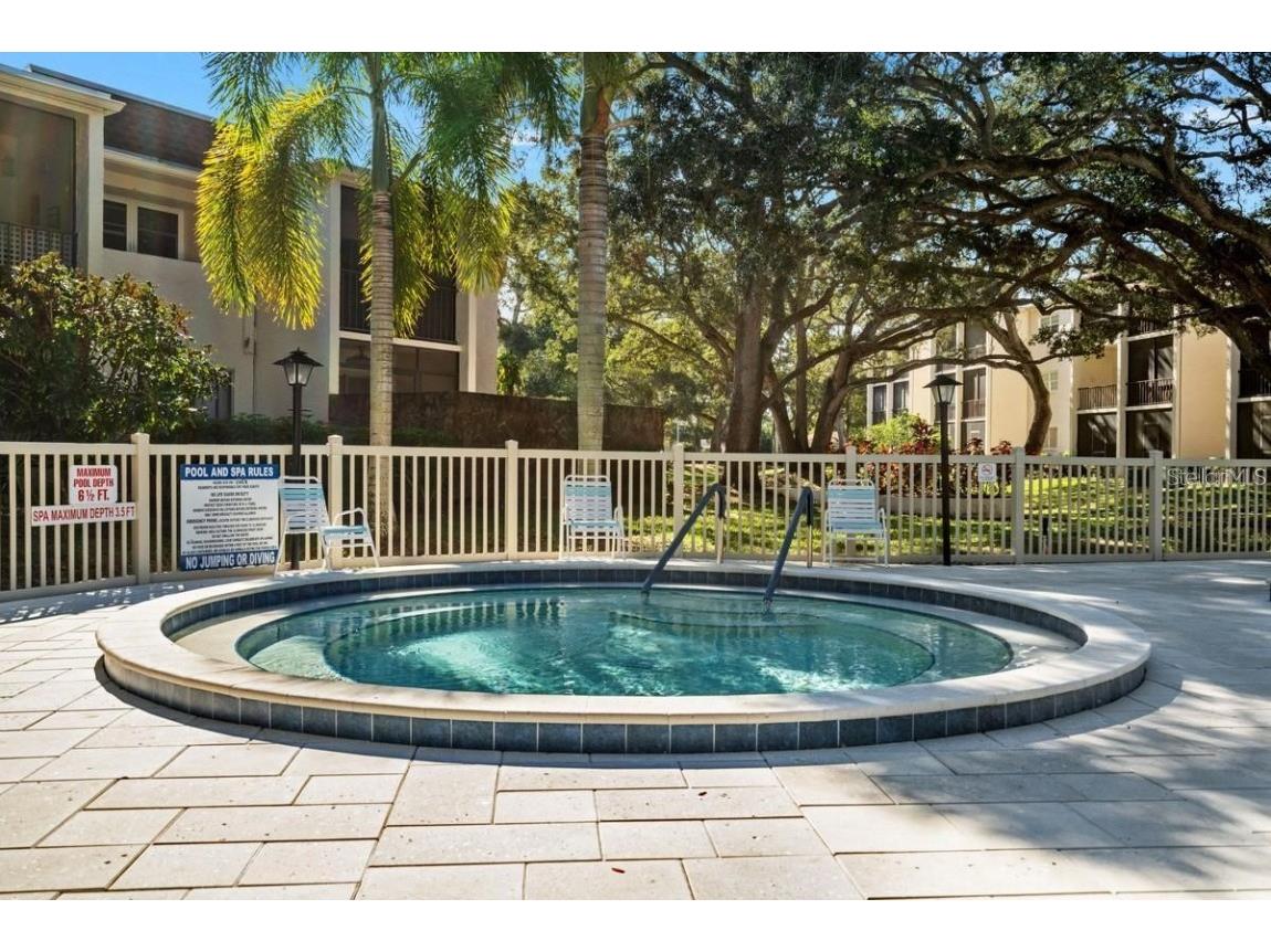 871 New York Avenue #307 Dunedin FL 34698 TB8458337 image29