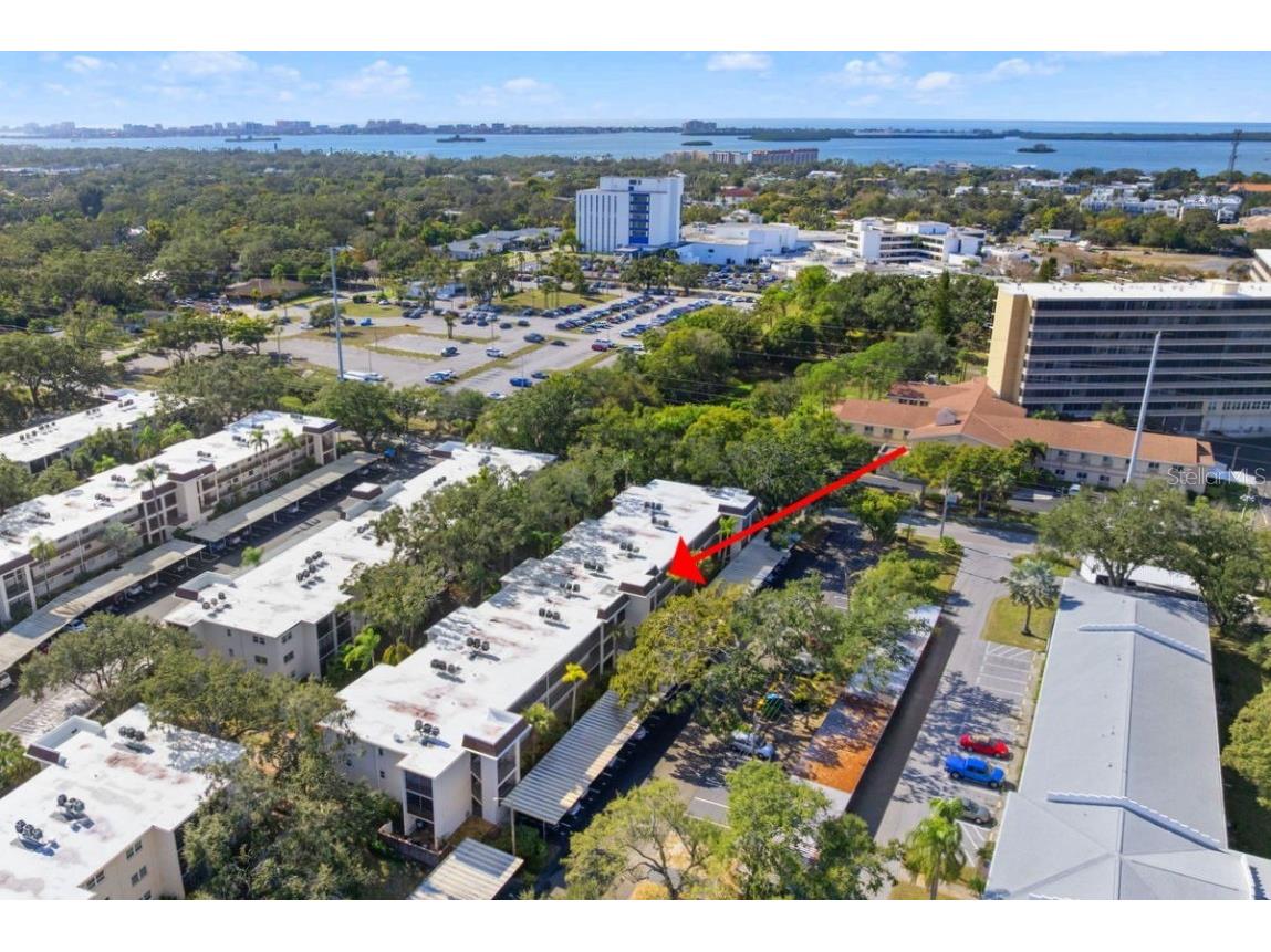 871 New York Avenue #307 Dunedin FL 34698 TB8458337 image3