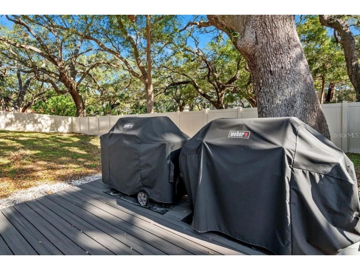 871 New York Avenue #307 Dunedin FL 34698 TB8458337 image31